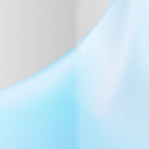 Sansevieria Laurentii