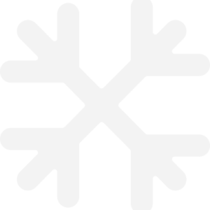 Ficus Decora Burgundy