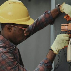 Sansevieria Golden Flame