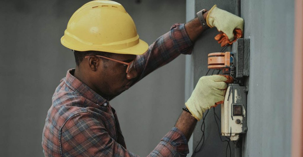 worker-2 Sansevieria Golden Flame